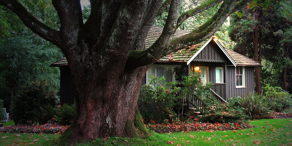 Stanley Park Grounds House by Umiyama 海山