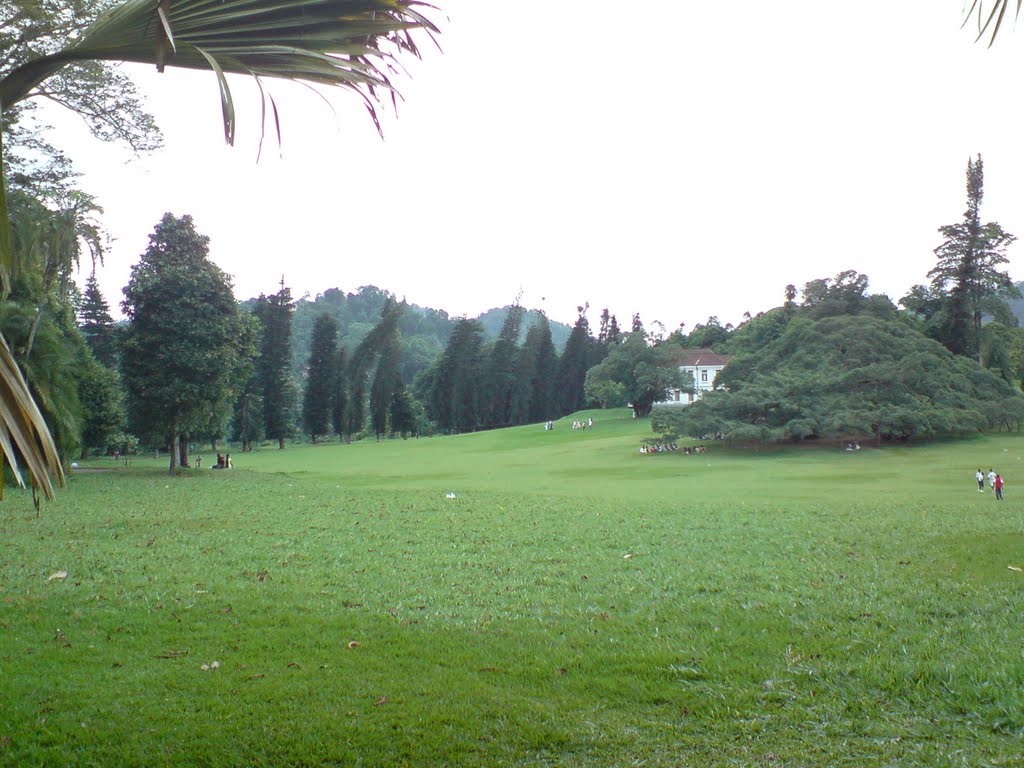 Peradeniya garden(kandy sri lanka) by sanjeewa gunawardena