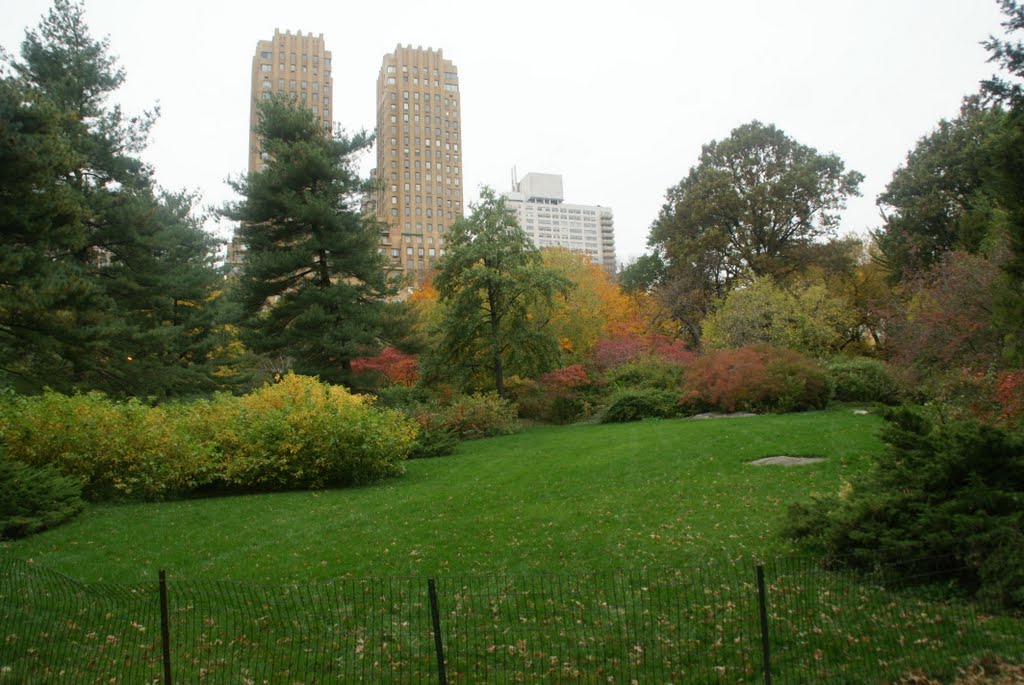 Strawberry Field-3, Central Park, NYC by Erdogan Cilingir