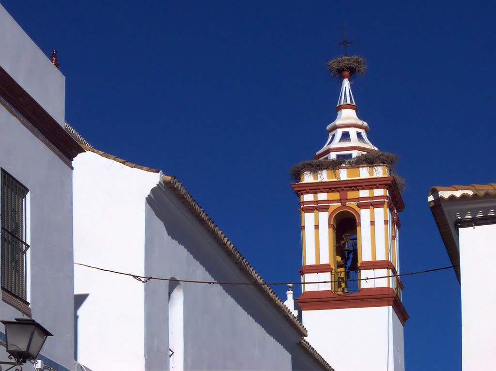 Campanario de la iglesia - Steeple of the church -Castilblanco de los Arroyos, Sevilla (España - Spain) · © Francisco dos Santos by Francisco dos Santos