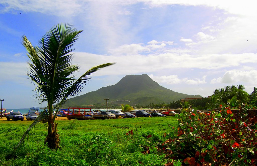 Cerro guayamuri by Lucrecia Diaz