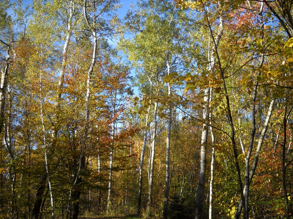 Bromont Quebec by Jamie Cane