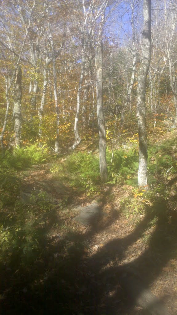 AT/LT on Shoulder of Little Stratton, Near Large Boulder, 10/9/2010 by Arkie_in_CT