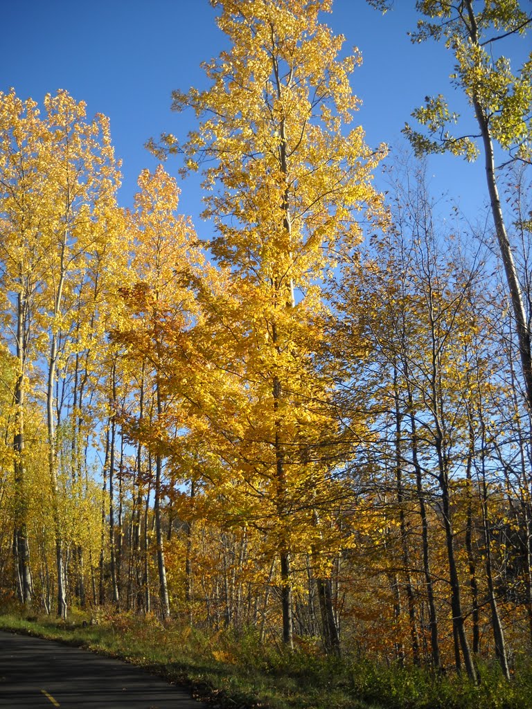 Bromont Quebec by Jamie Cane