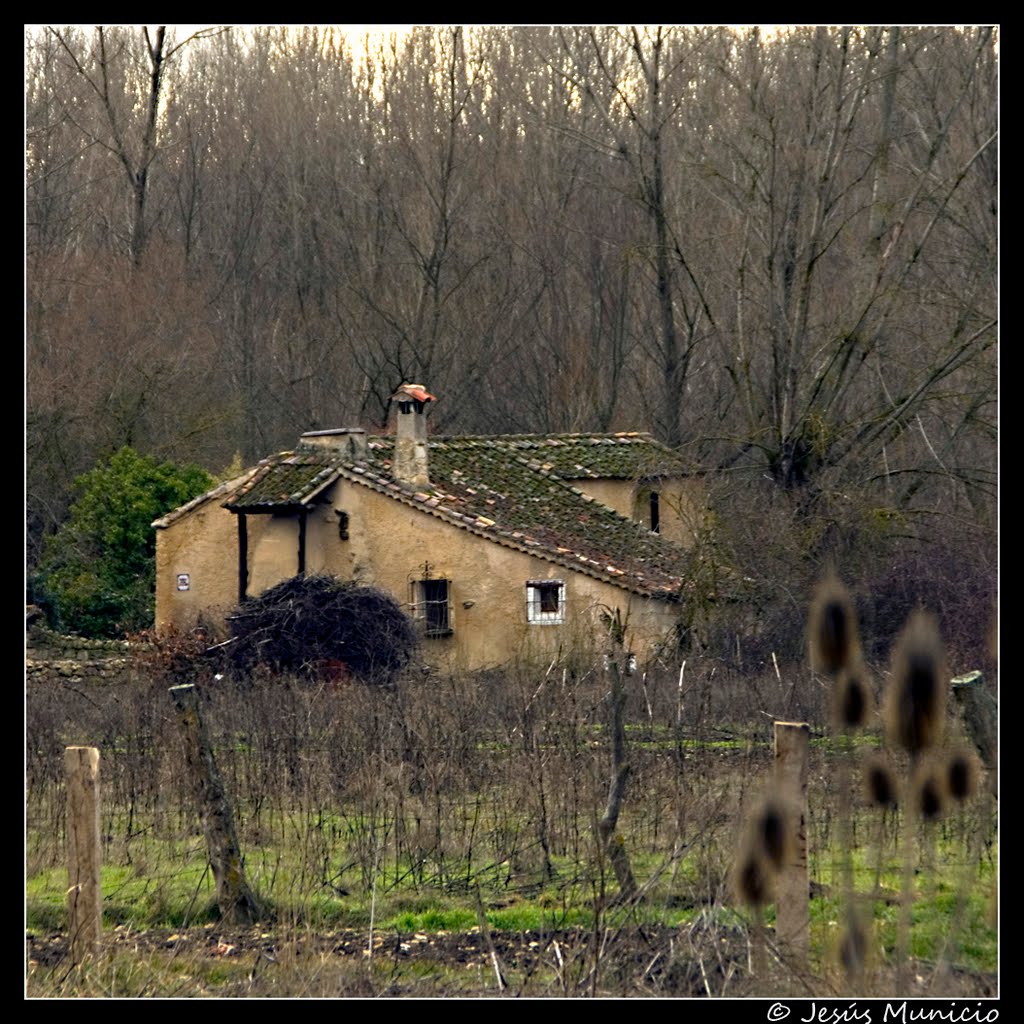 El viejo molino del Cubillo - Prádena, Segovia (Autor: Jesús Municio) by Jesús Municio