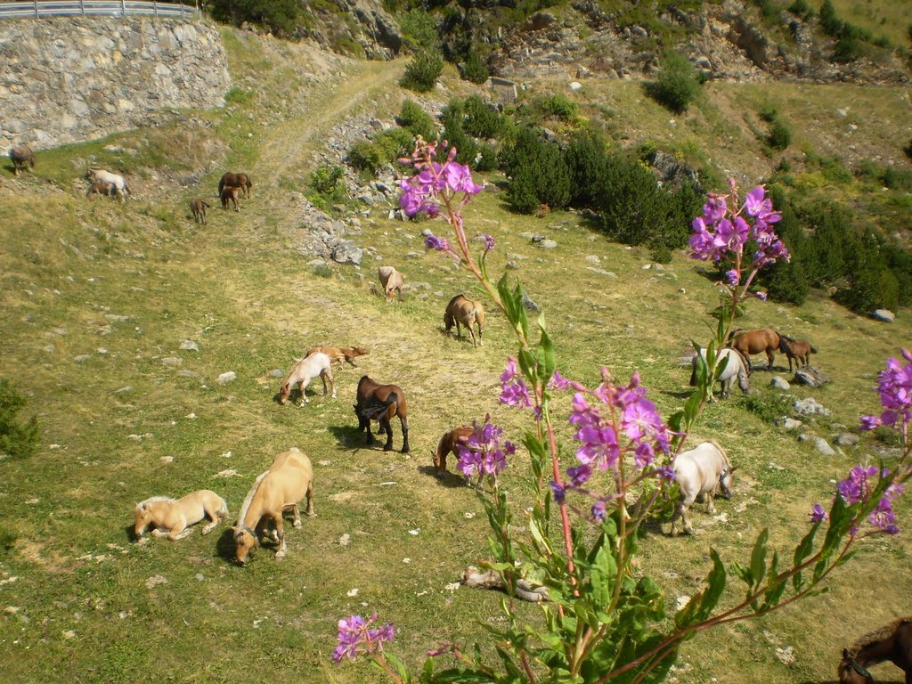 Ordino Arcalis by Iñigo Durán