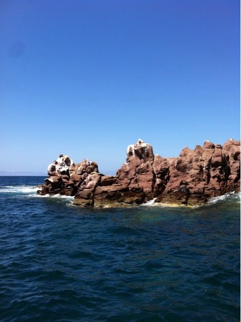 Isla Espiritu Santo (La Lobera), Baja California Sur. by Roberto Valdez