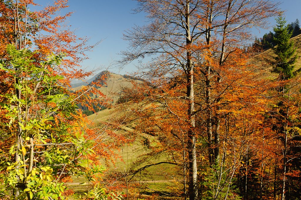 Herbst in Sudelfeld by peter314muc