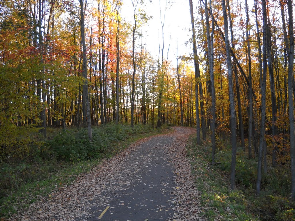 Bromont Quebec by Jamie Cane