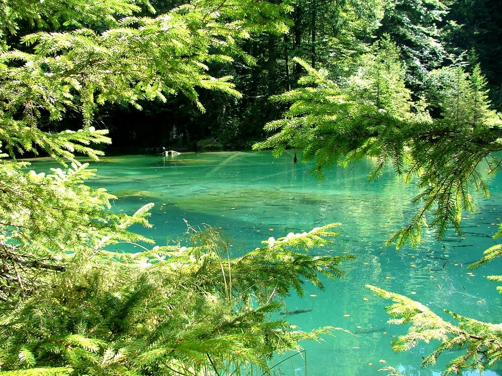 Blausee by DONALD