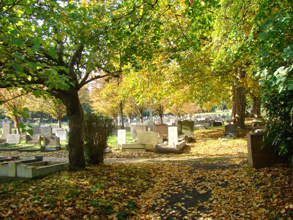 Autumnal trees and fallen leaves, Ecclesall graveyard, Sheffield S11 by sixxsix