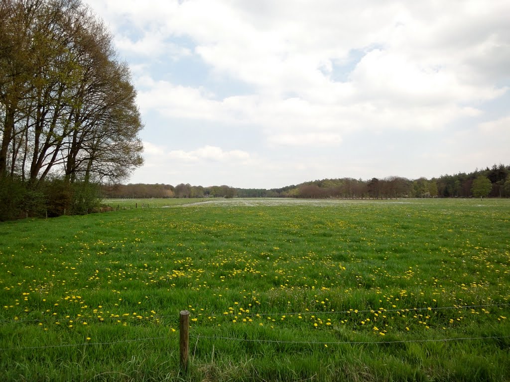 Weiland aan de Wildenburglaan, landgoed Groeneveld by ednl