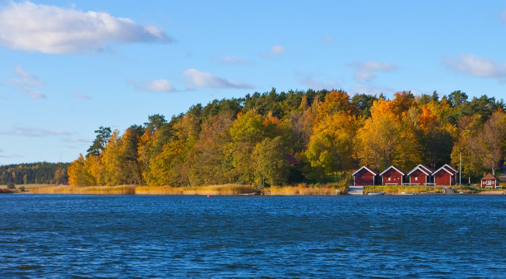 Fall, Vaxholm 2010 by BengtENyman