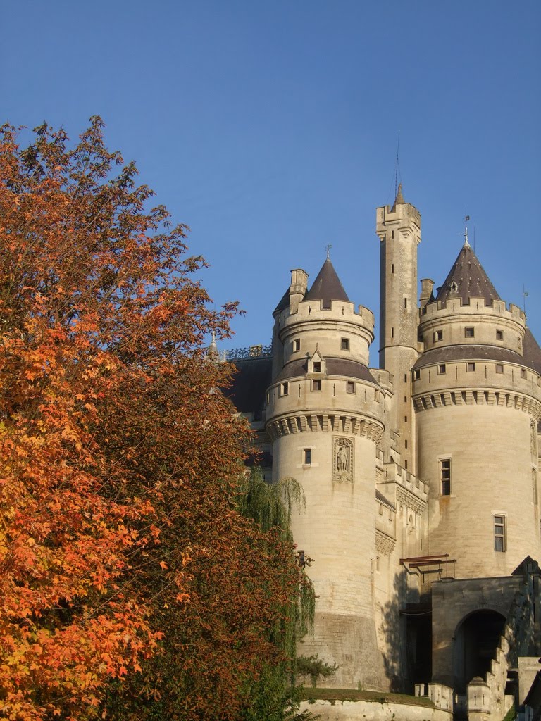 Chateau de Pierrefonds by flyingpapou