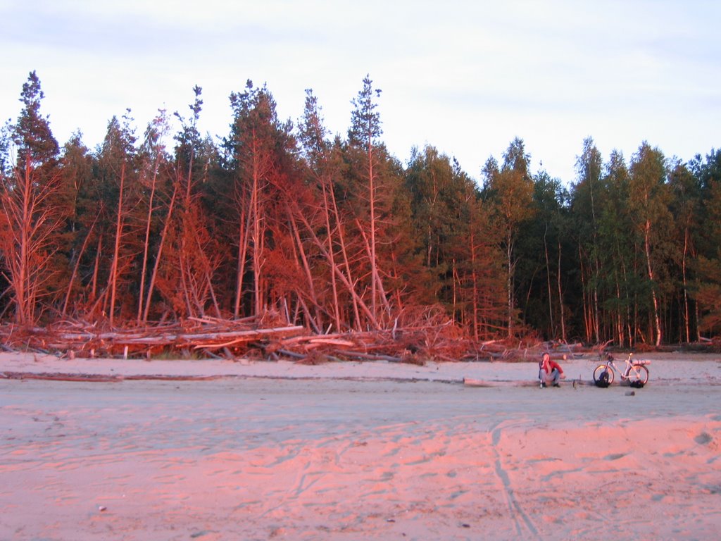 Beach near Carnikava september 2005 by valentin0