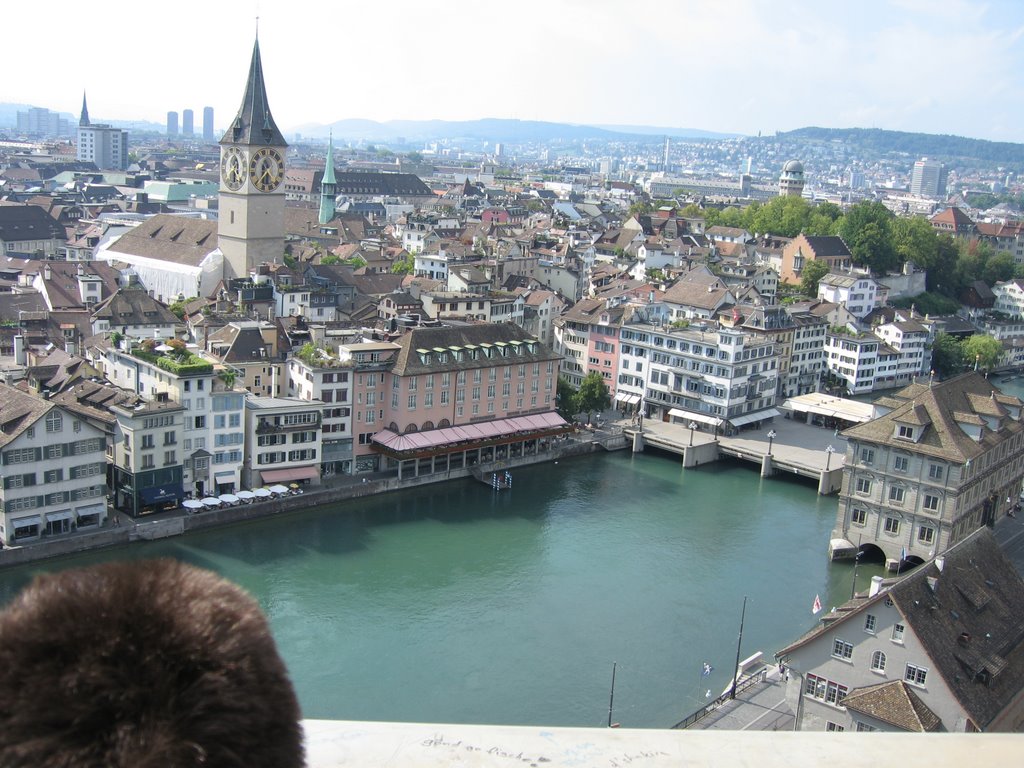 Desde la torre de Grossmünster. 8-2007 by PSSOAMY