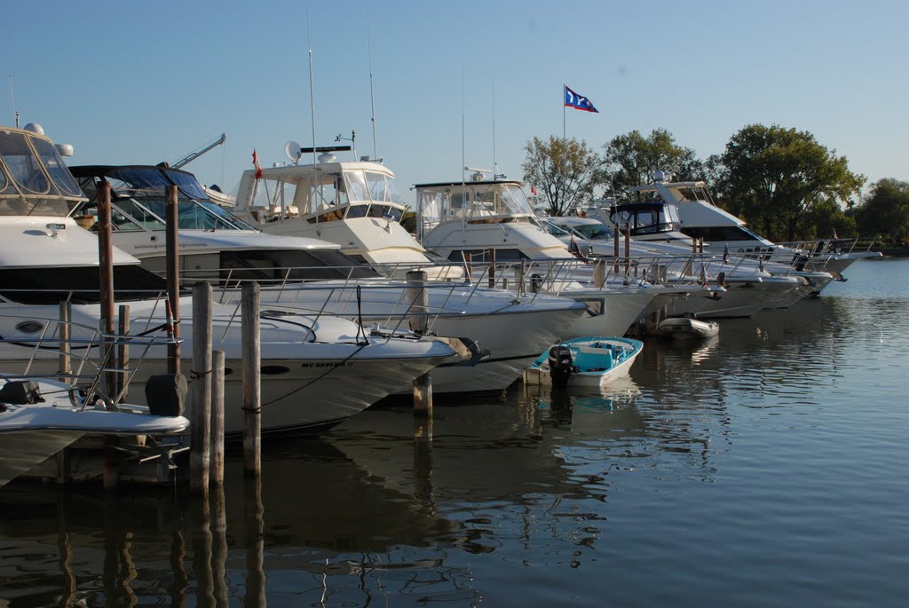 Metro Beach guest marina by joe kennedy