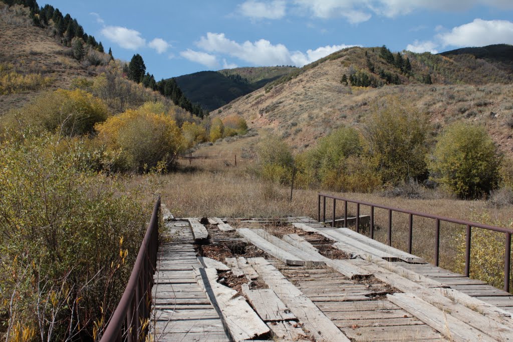 Old Bridge by TheShot