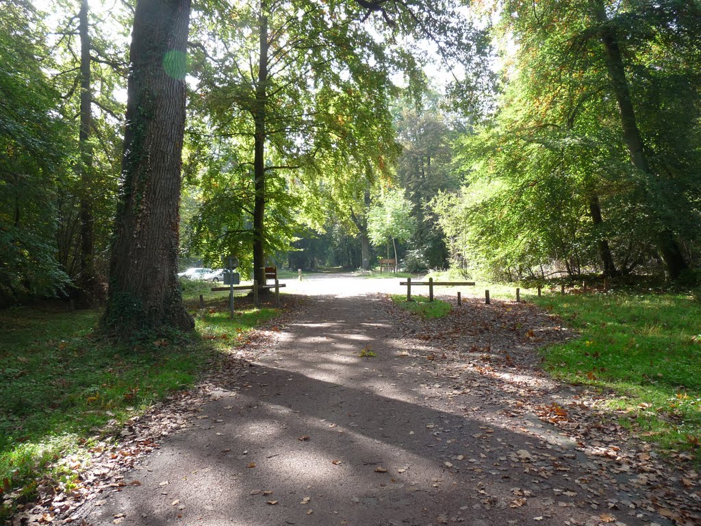 Chemin de la queue de la brosse en forêt domaniale d'Halatte - OISE 60 - Picardie - France by Senlis