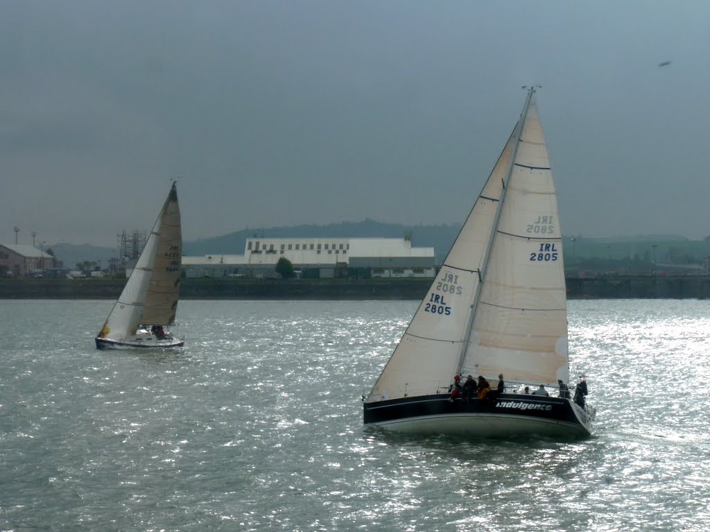 Yacht race in Cork Harbour (Cobh) by Richard Sutton