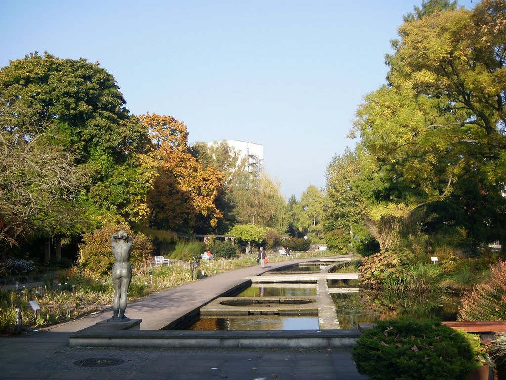 Herbstliche Freundschaftsinsel by Green Island