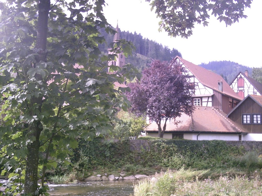 Blick zur Kirche nach Schiltach vom Wehr aus gesehen by manderl