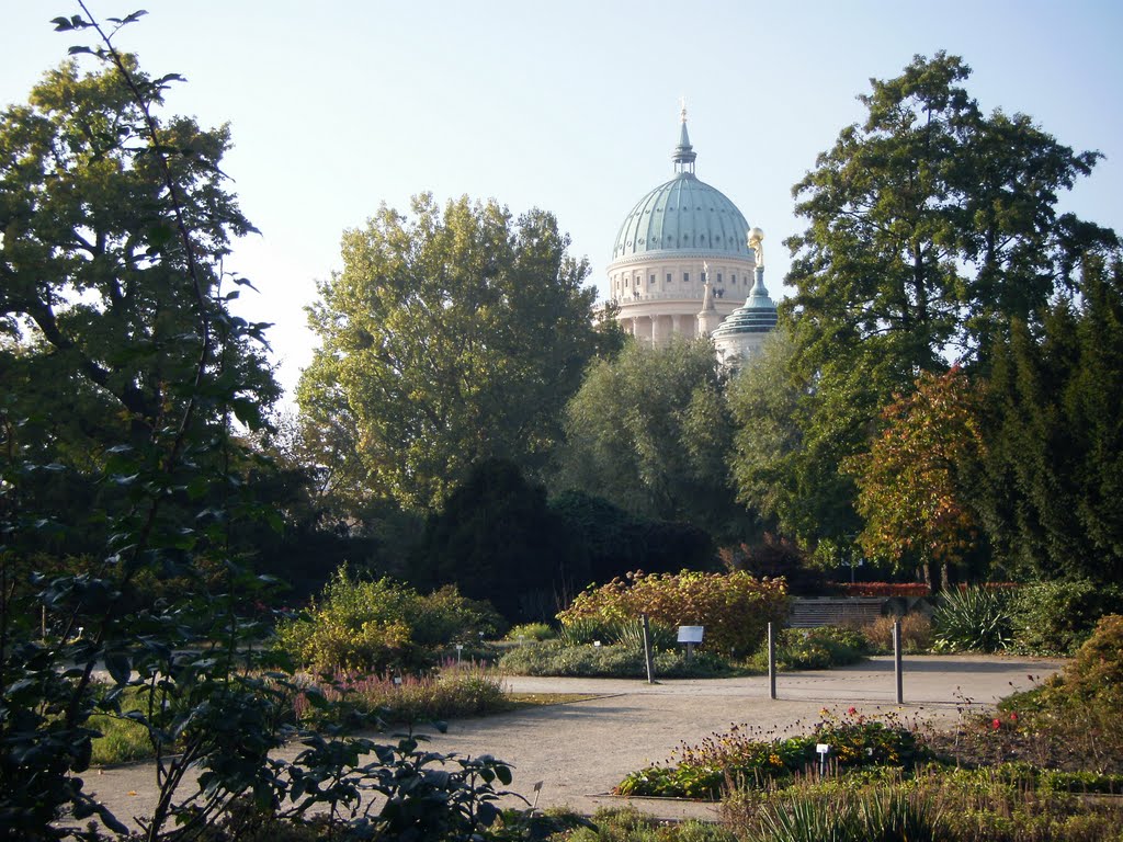 Potsdamer Kulisse von der Freundschaftsinsel by Green Island