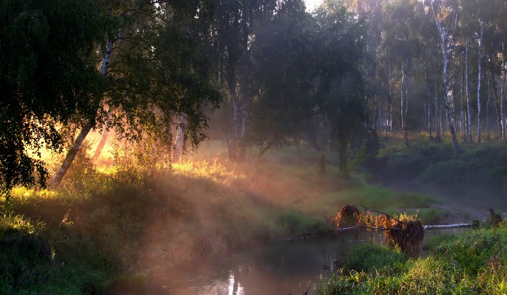 Herbstnebel by Susanne Meier