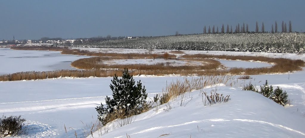 Halbinsel Pouch im Winter by Susanne Meier