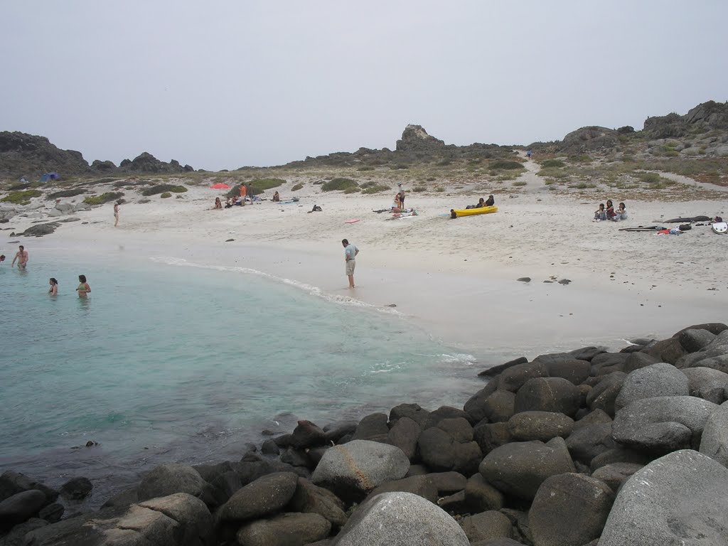 Playa de aguas cristalinas - Isla Damas by Fanático