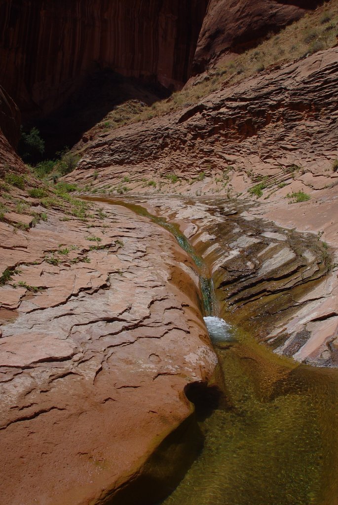 Wafery channel, Willow Creek by mjmills