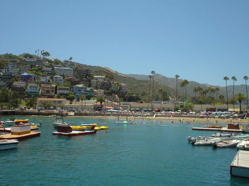 Catalina Island,CA by Globetr