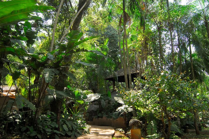 Outside Yacutinga Lodge by Yacutinga Lodge