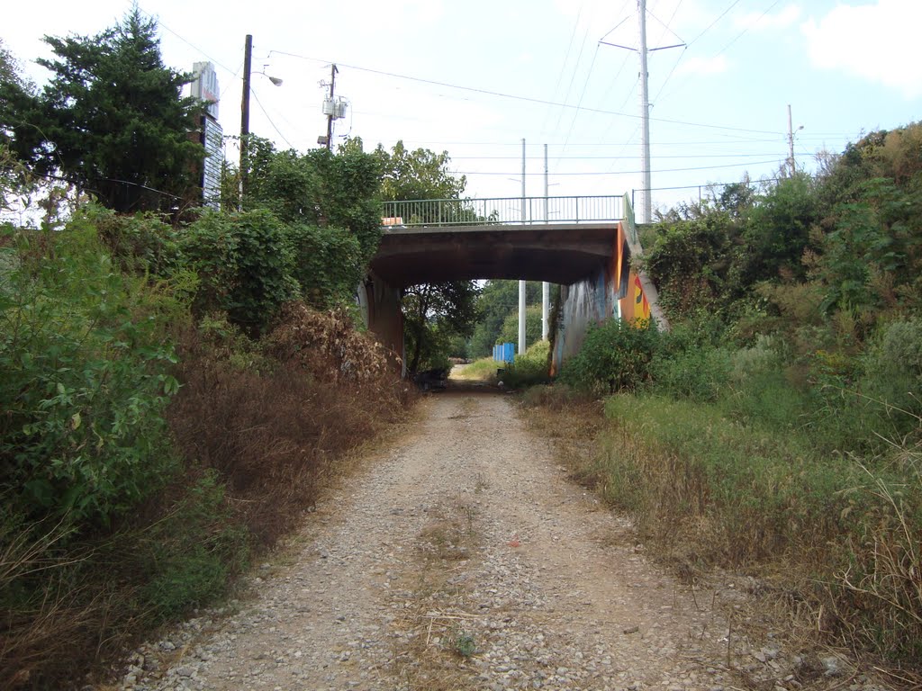 Virginia Avenue bridge by Arnage