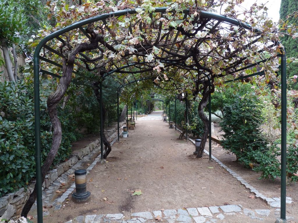 Passeig de les parres by Joel Marimon Bonet