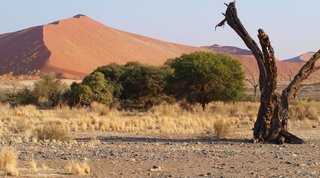 Sossusvlei (Namibia) by Heinz Bartels