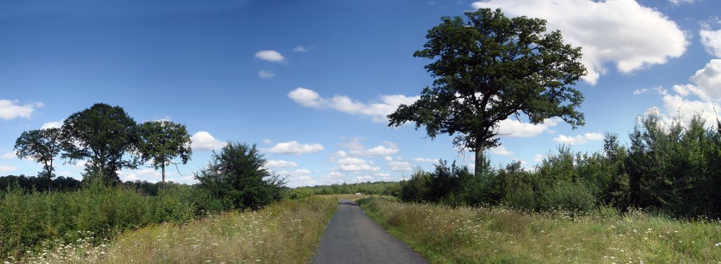 Route de Chanteau à Neuville aux bois by Kristoff Anselmo