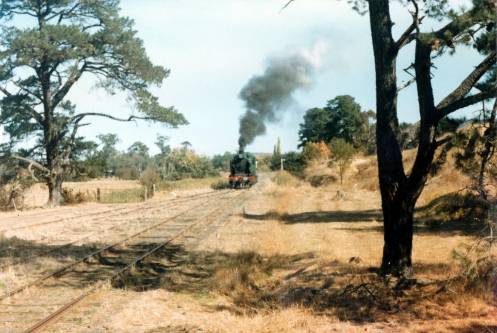 K190 at Yarra Glen - May 1986 by Rob Lee