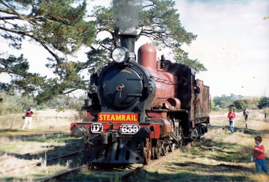 D3 639 at Yarra Glen - 1986 by Rob Lee