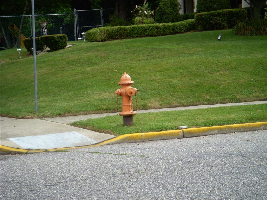 Hydrant by F Rim