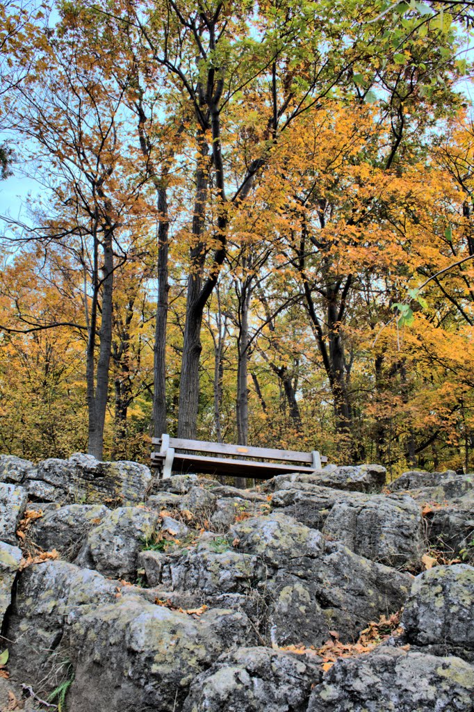 Great Viewpoint for a Sunrise at Rattlesnake Point by Gil Tennant