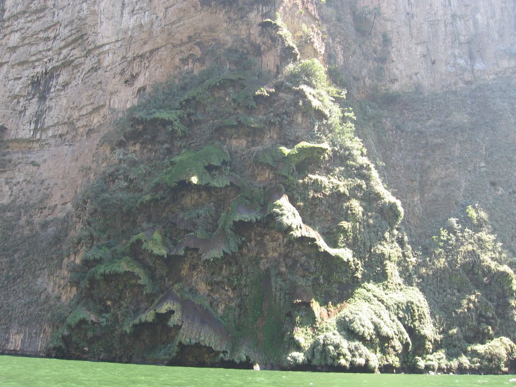 Arbol de Navidad en el Cañon del Sumidero by ~☂JENNY☂~