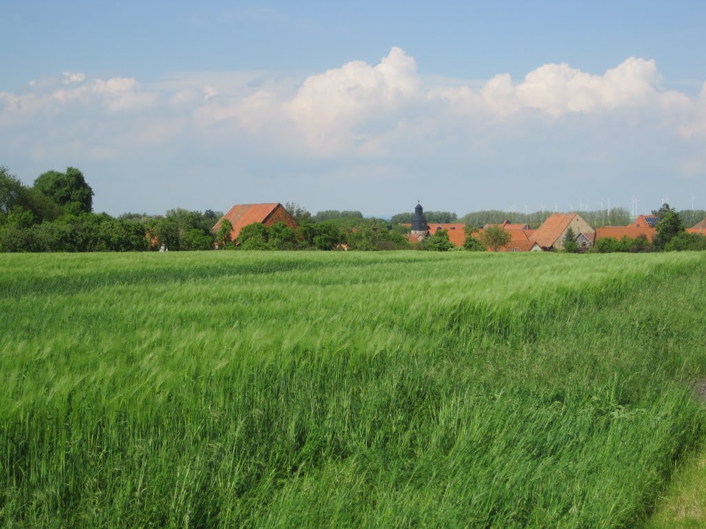 Straße nach Veckenstedt mit Blick auf Wasserleben by chstroh