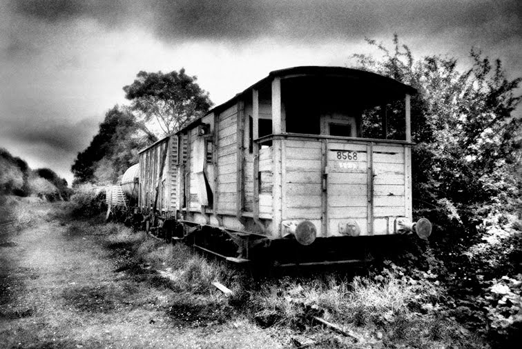 Abandoned trains, Tuam, Co Galway, Ireland by 2c