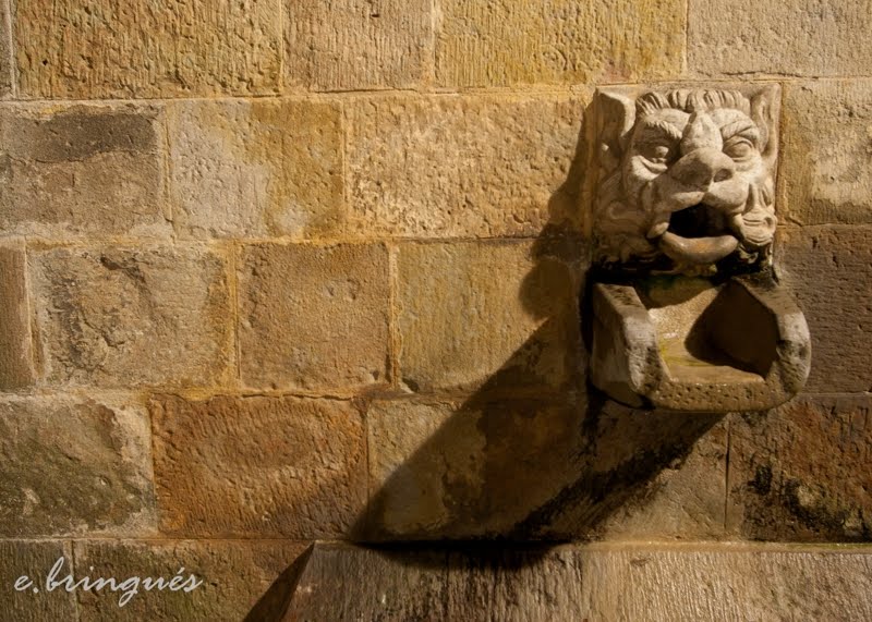 Font de la Catedral by ebringues