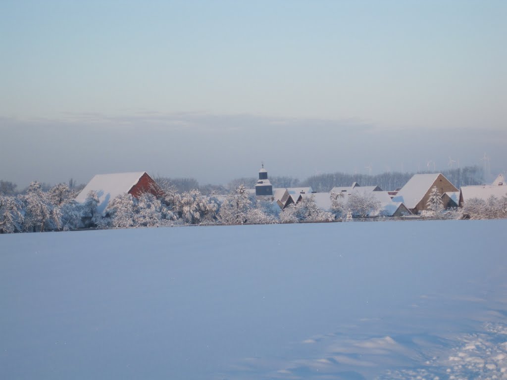 Wasserleben Winter by chstroh