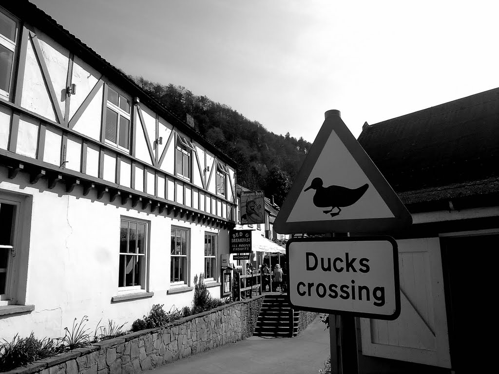 Symonds Yat East by Mike_C_Photos