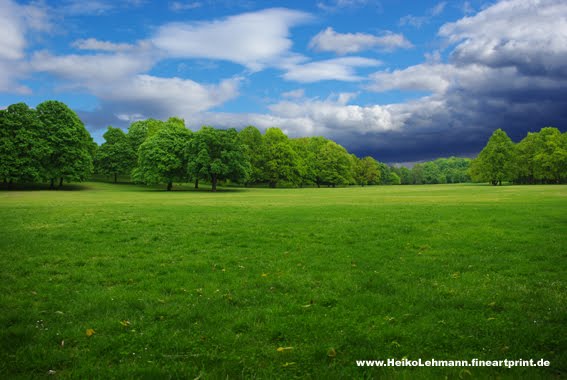 Volkspark Rehberge Berlin by Heiko Lehmann