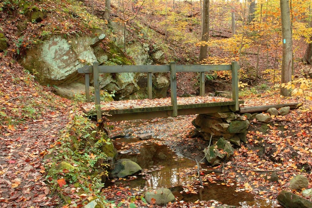 Along the Buckeye Trail - Oct 12, 2010 by allanlewicki