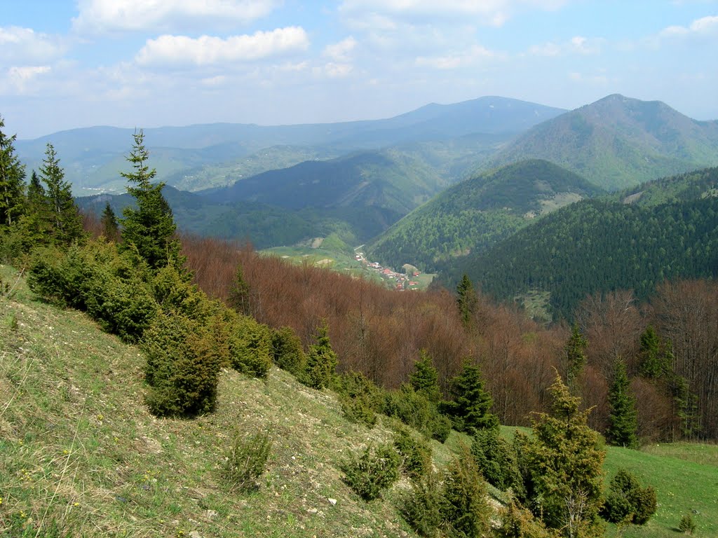 Výhled z úbočí Velkého Rozsutce do údolí na Bielu - Lookout from slope of Velký Rozsutec to valley with Biela by Tomas K☼h☼ut